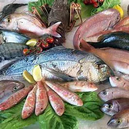 peces trinidad