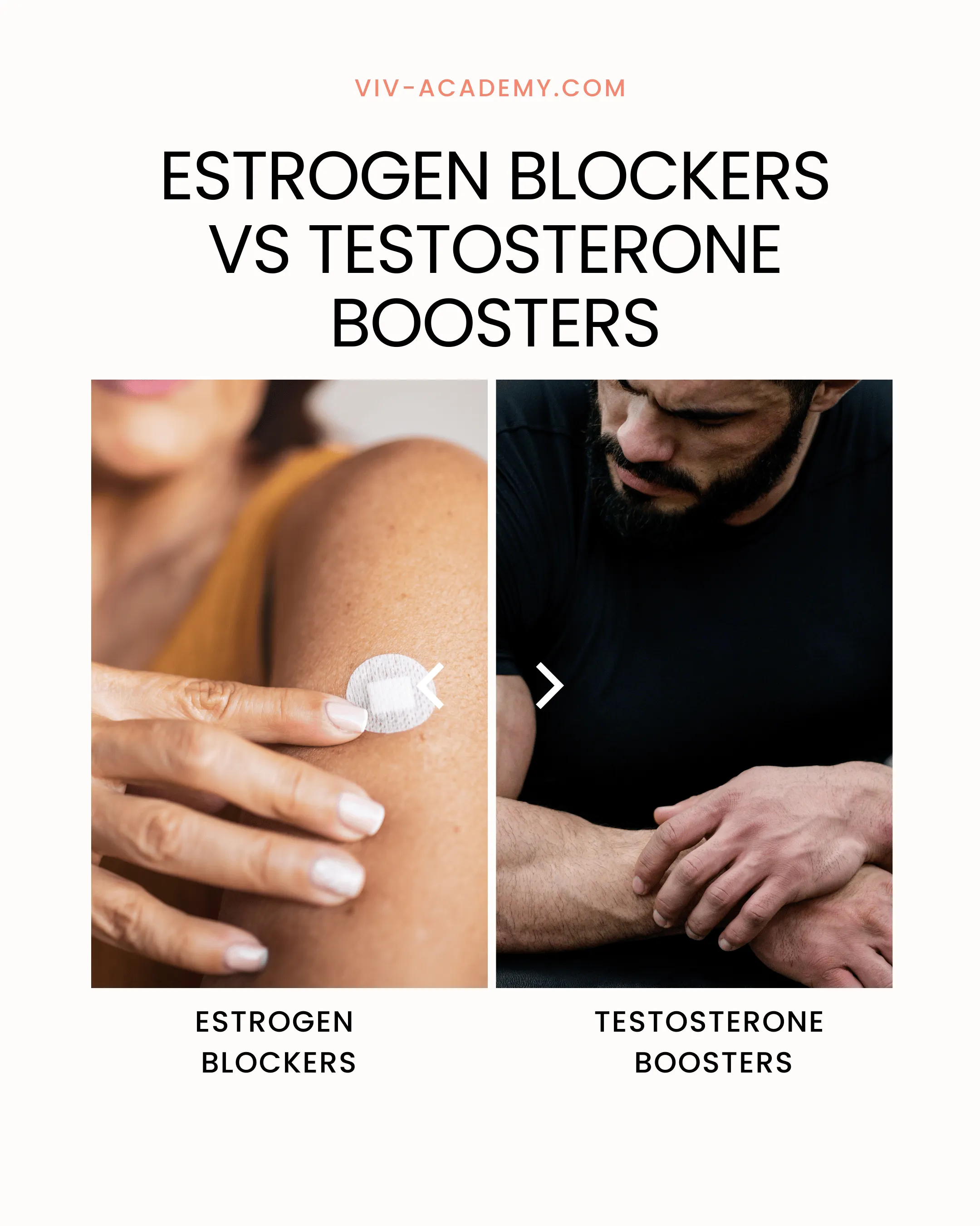 Estrogen Blockers vs Testosterone Boosters