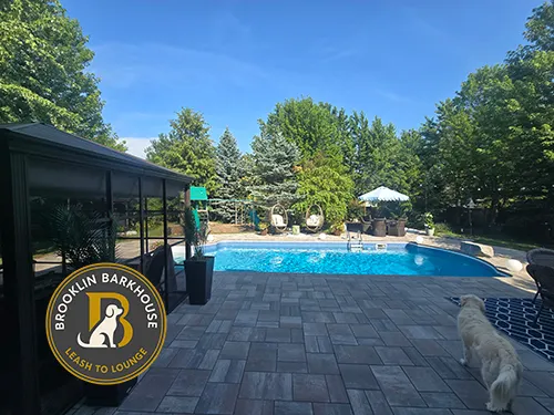 Brooklin Barkhouse yard showing interlock patio and a pool