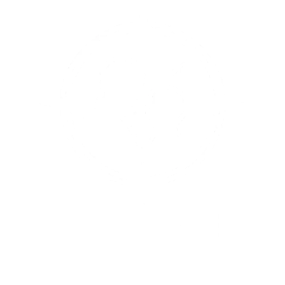 Self Trust Academy logo – soul-guided men's course for nervous system healing, father-son reconnection, and embodied leadership