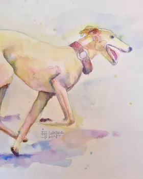 Zookromía - Acuarela - Galgo