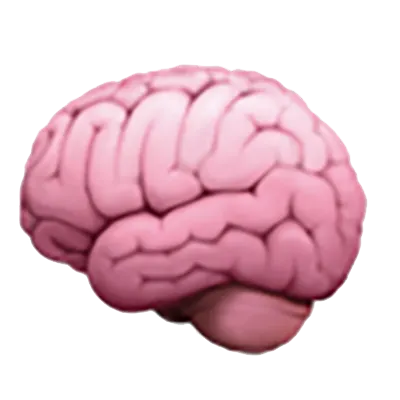 Lightning Fast Results