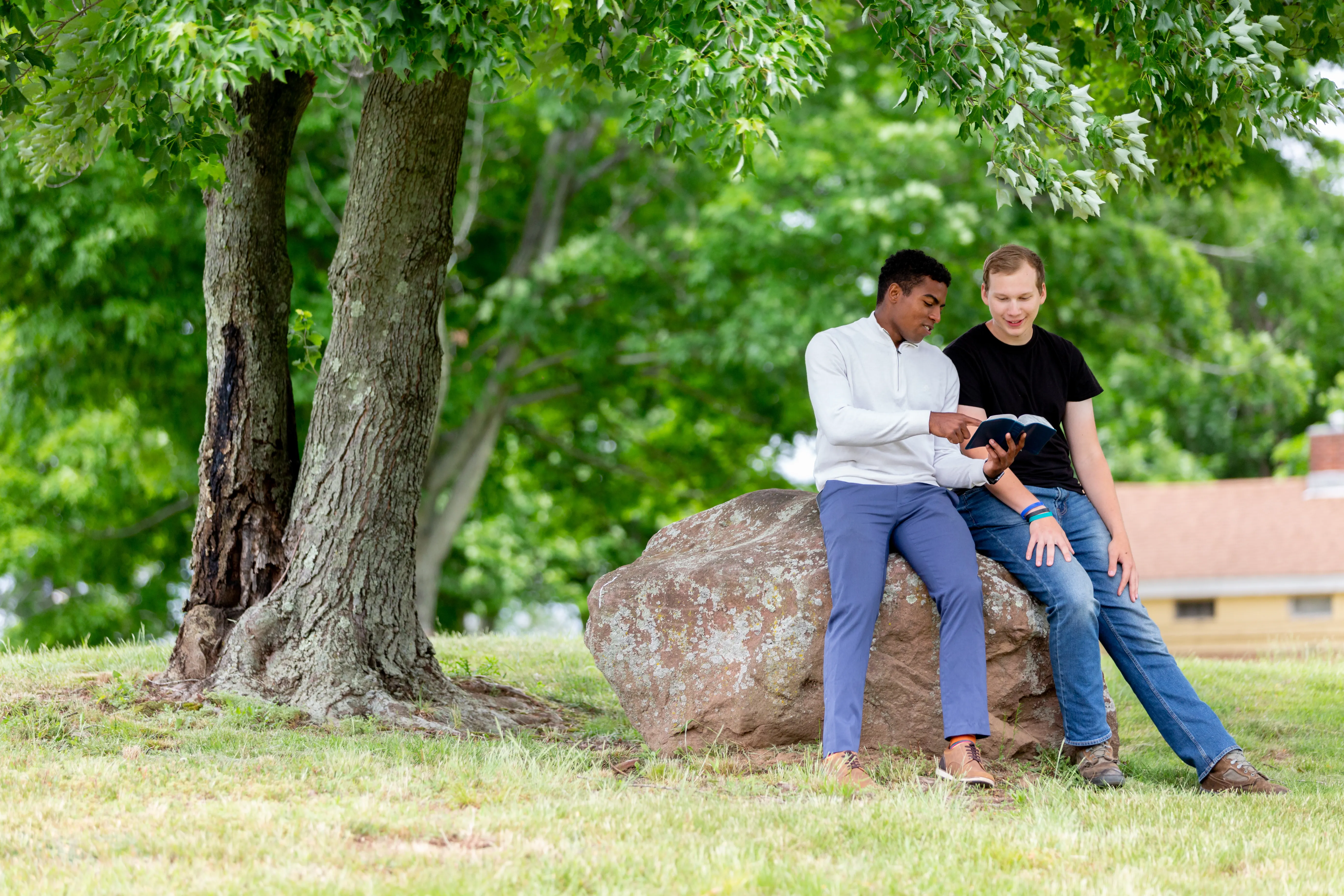 2 men reading the Bible underneath a tree
