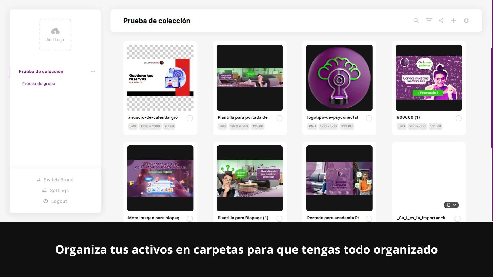 imagen-del-panel-de-brandgrooves-donde-se-organizan-los-activos