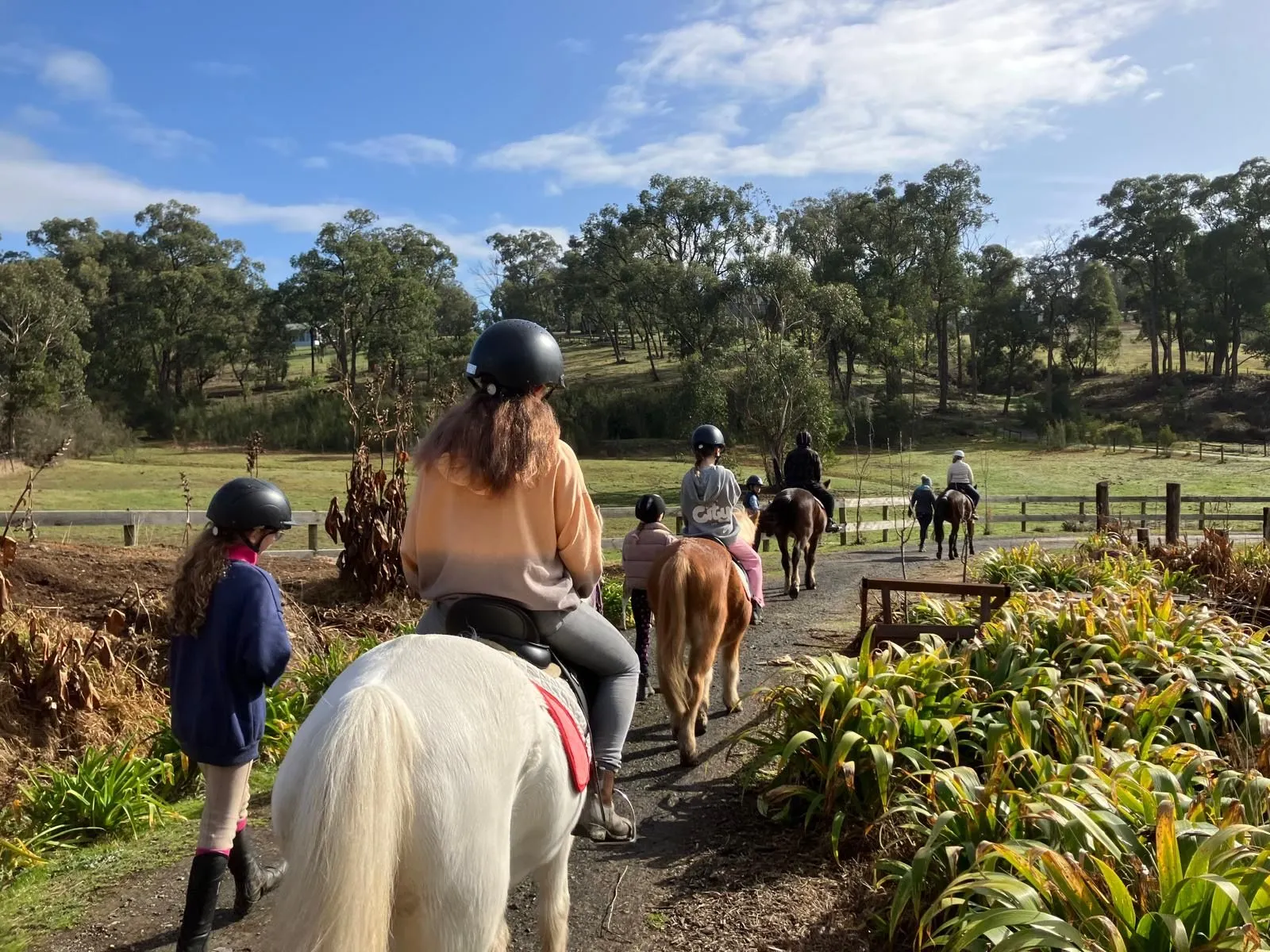 trail ride at avoca park