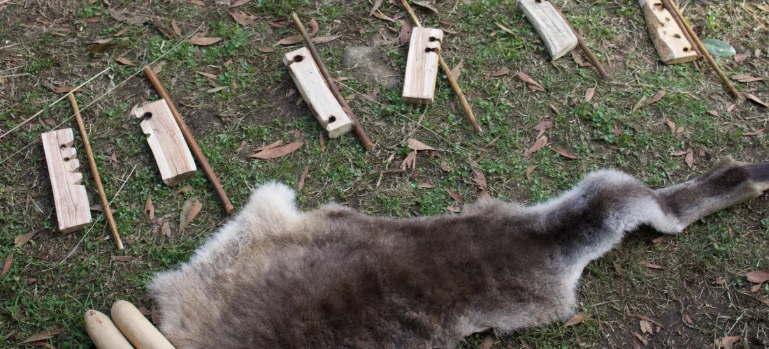 kangaroo skin