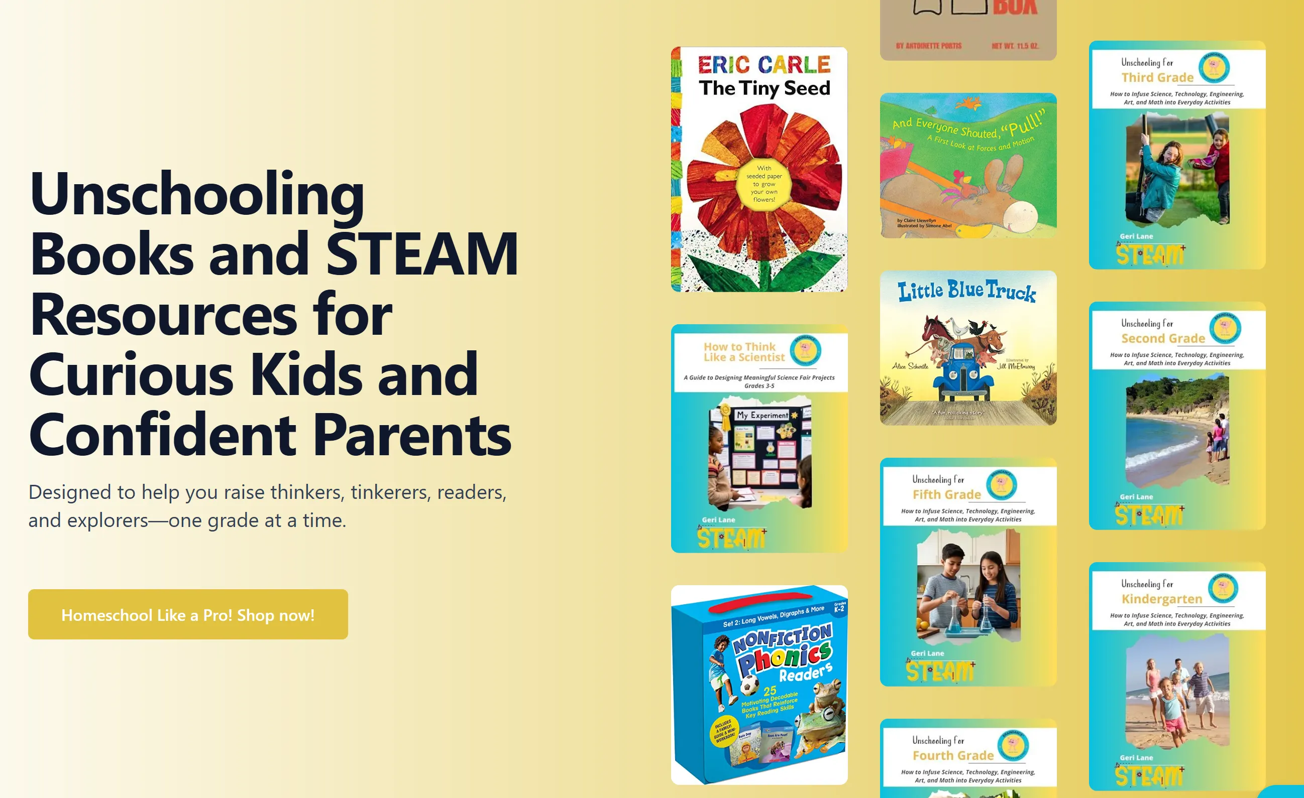 Braindance Unschooling Marketplace Home