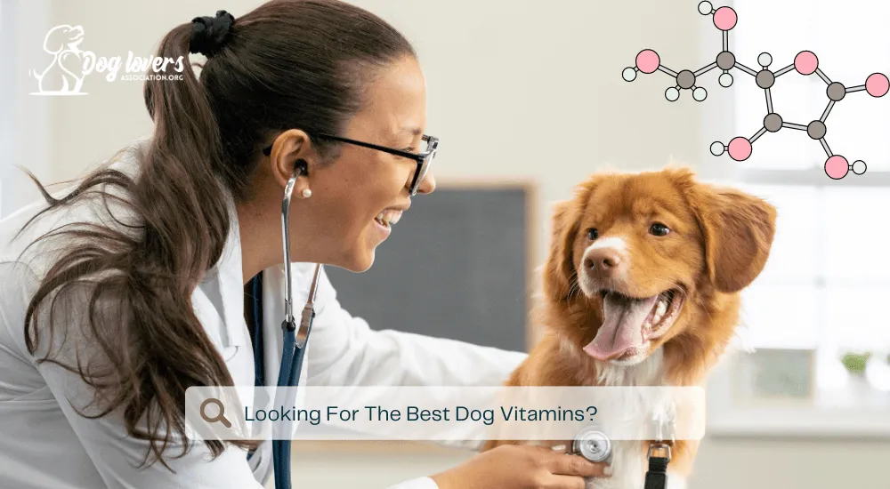 Dog Lovers Association - The Best Dog Vitamins