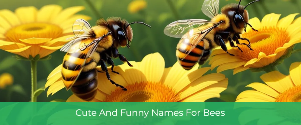 Bee names