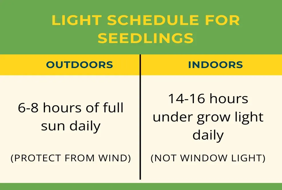 Chart showing indoor and outdoor light schedules for Tower Garden seedlings in vertical hydroponic gardening
