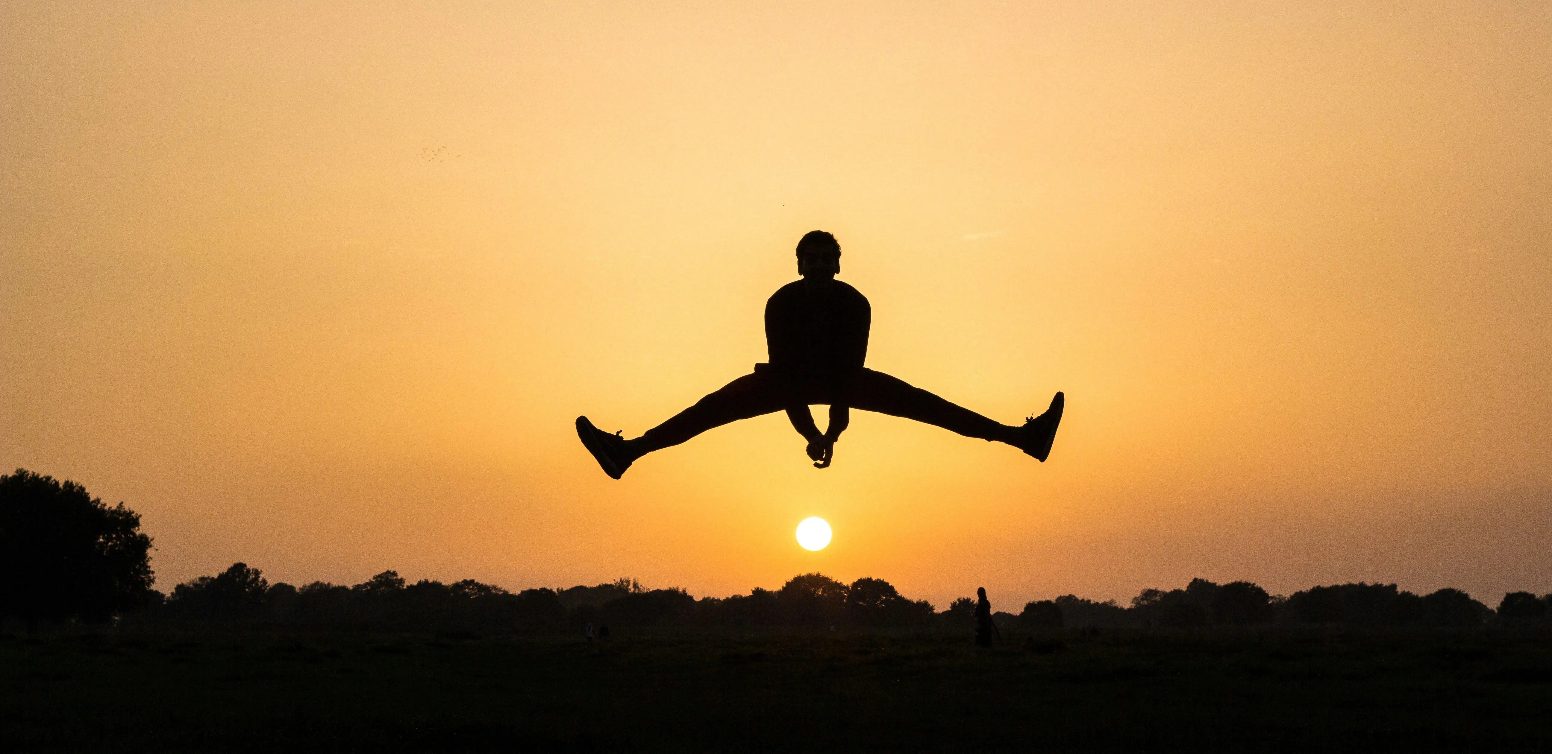longevity healthy life