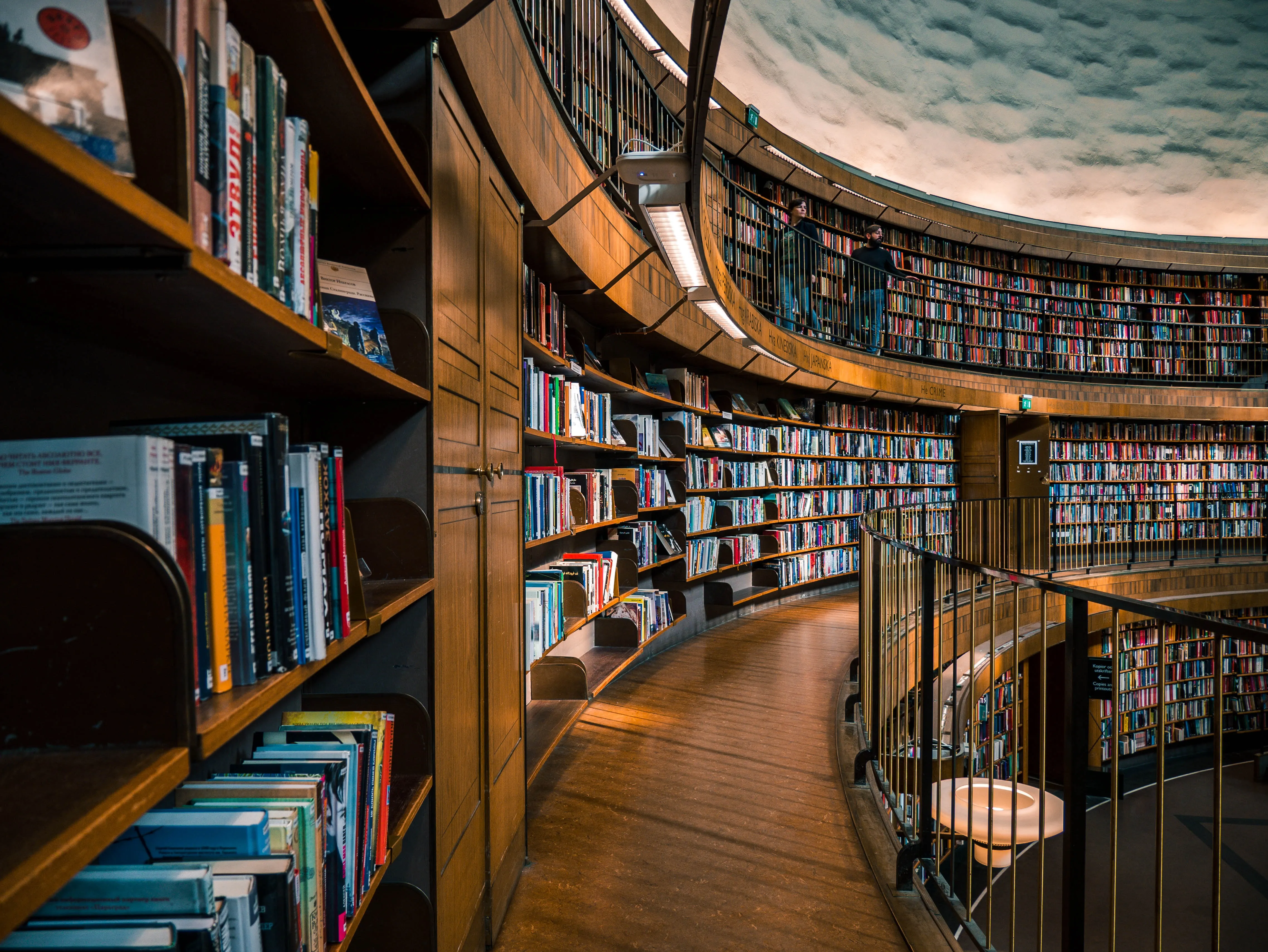 Jorge De Hoyos | Education