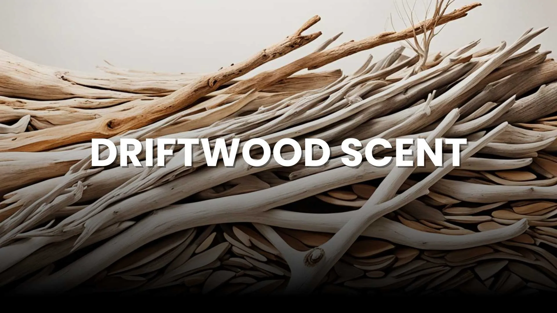 driftwood scent