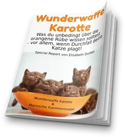 Special Report Durchfall Katze