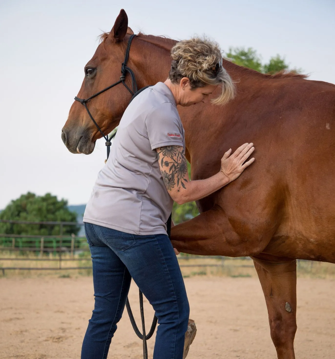 Christina Naas, giving an equine massage