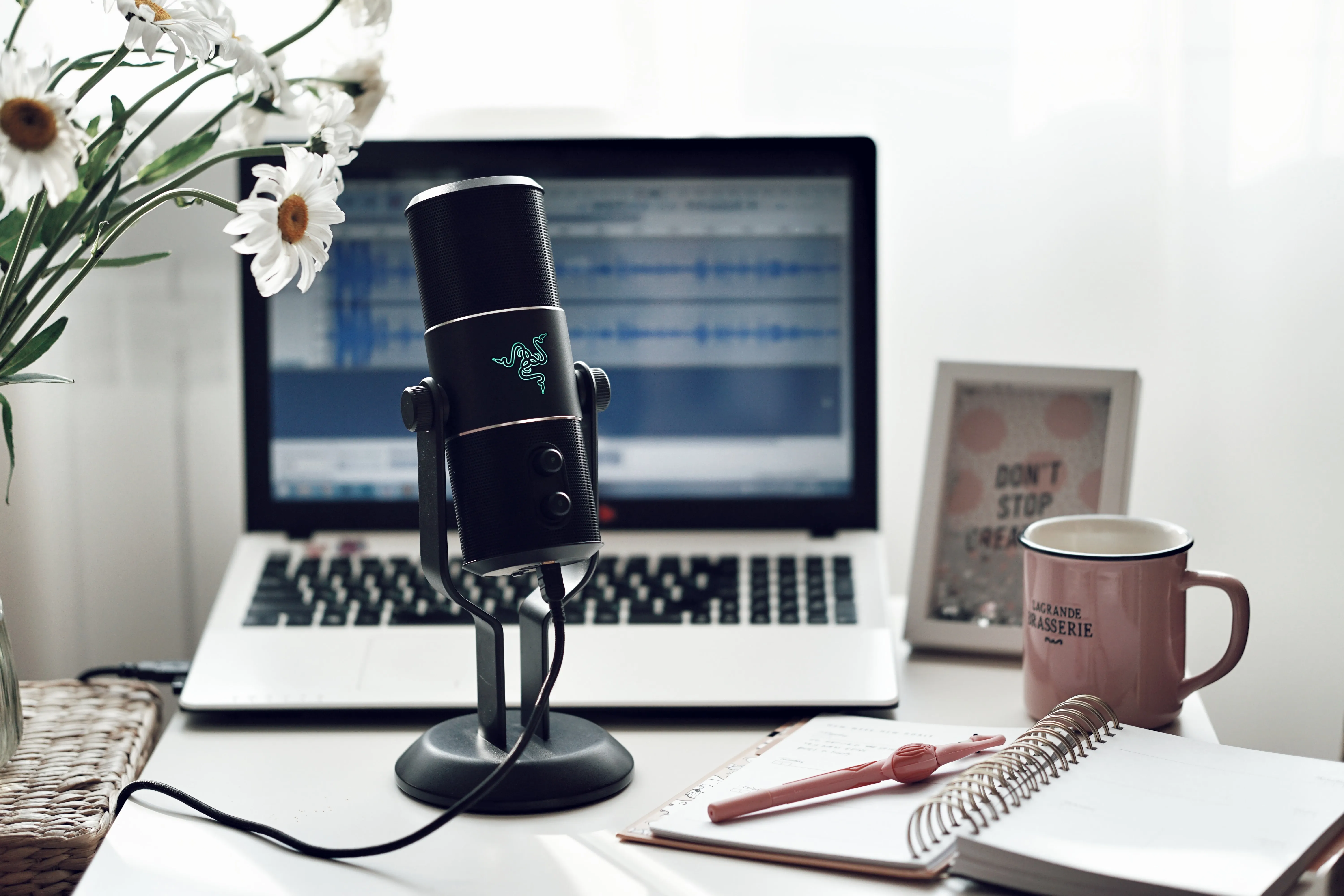 voice-overs