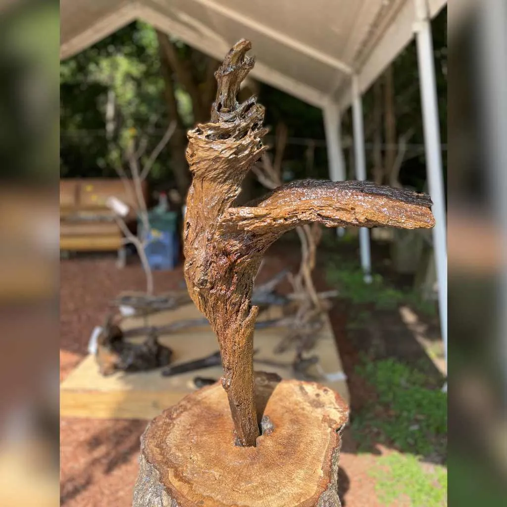 Driftwood sculptur