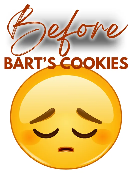 Bart Smith's 'World Famous' Chocolate Chip Cookies (BartsCookies.com)