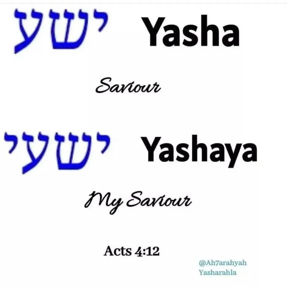 Yasha Saviour