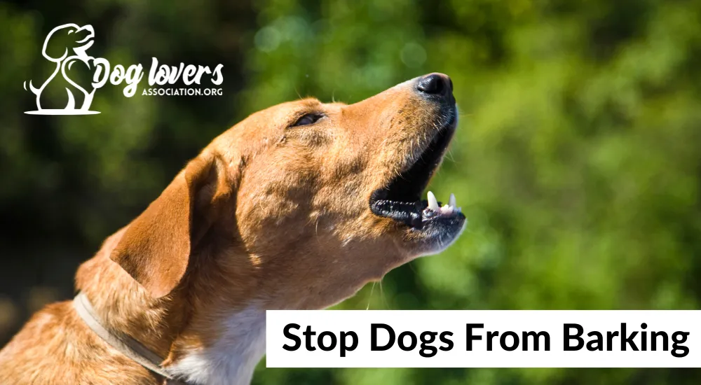 Dog Lovers Association - Stop Dog Barking