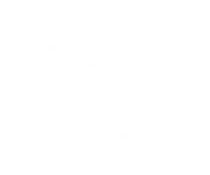 Crypto Profit Class