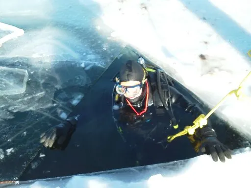 Ice Diver