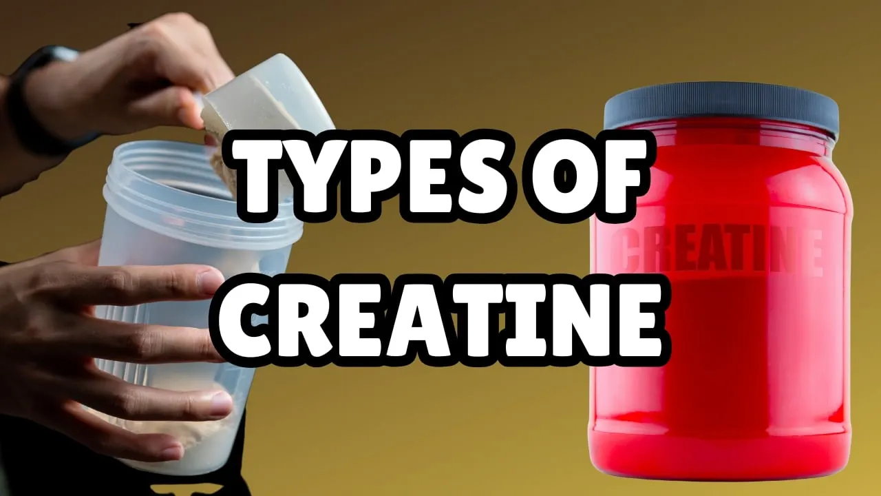 Choosing the Right Type of Creatine: A Guide to Supplement Forms combat creatine