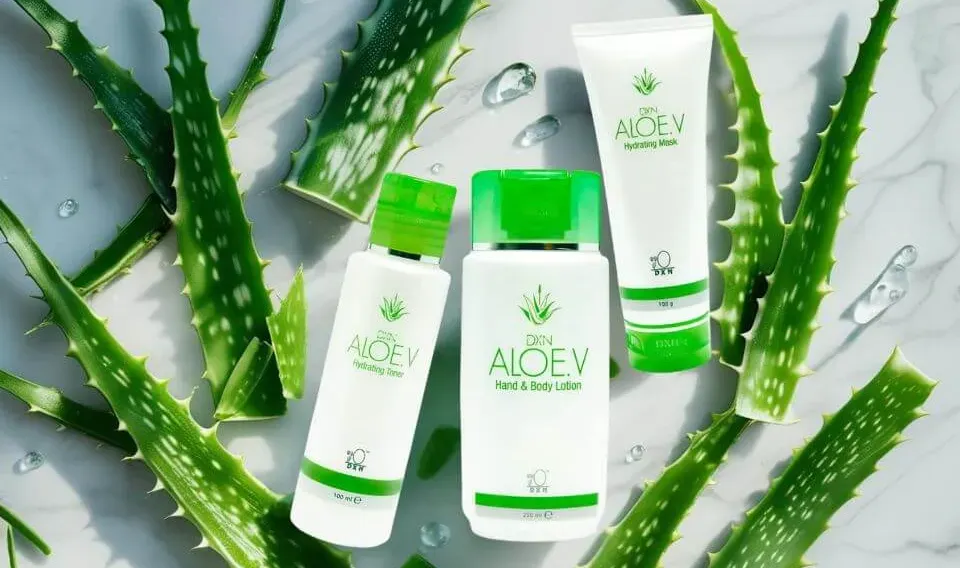 Rutina de cuidado facial completa con la Línea Aloe V de DXN, con gel limpiador, tónico y cremas, rodeada de hojas frescas de Aloe Vera.
