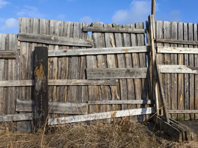 Fence Contractors in Dallas, Texas