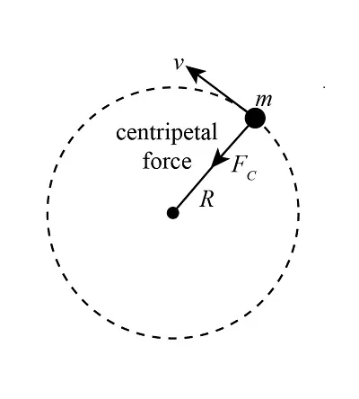 circular motion fbd