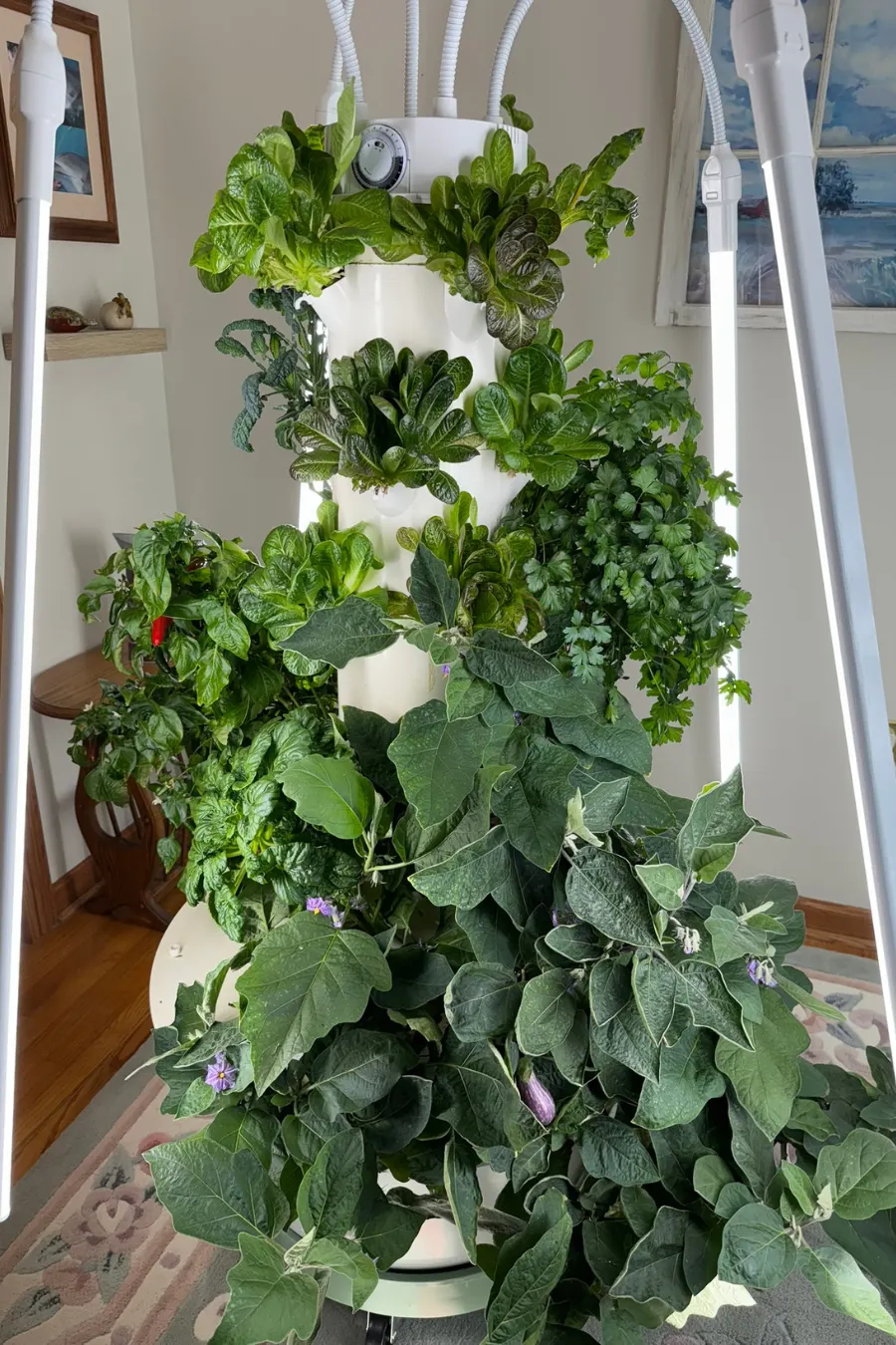 Tower Garden Flex vertical aeroponic growing system producing leafy greens, herbs, and fruiting crops indoors under grow lights