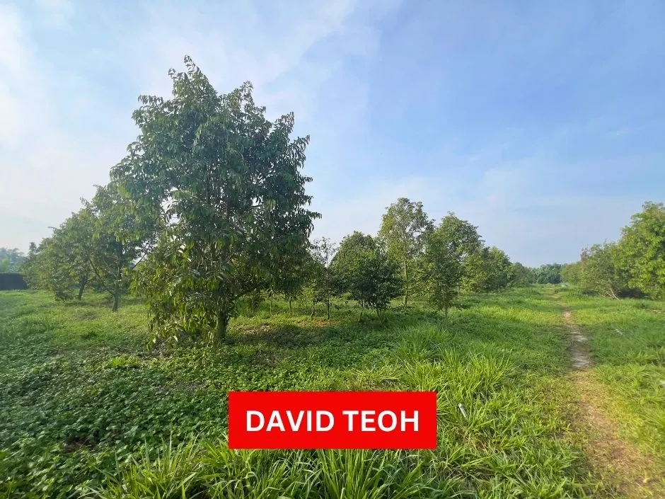 agriculture land for sale at sungai bakap