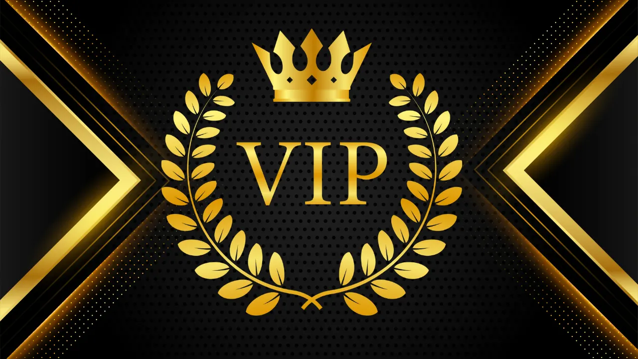 Vip Groove Training