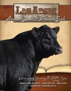 2024 Lau Angus Bull, Cow, and Heifer Sale