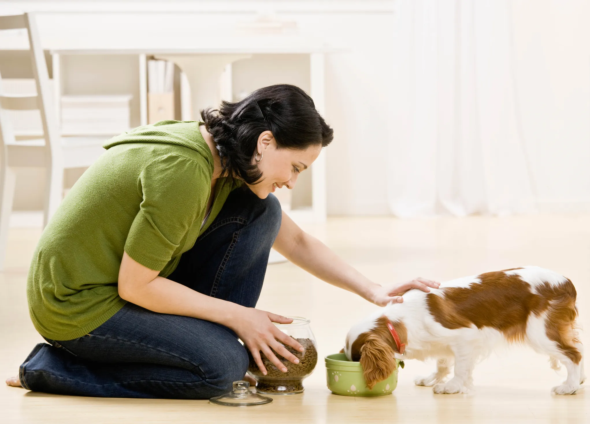 Nơi Gửi Thú Cưng Uy Tín Đà Nẵng