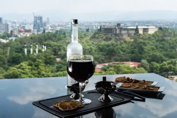 Grand Fiesta Americana Chapultepec Wine Glass View