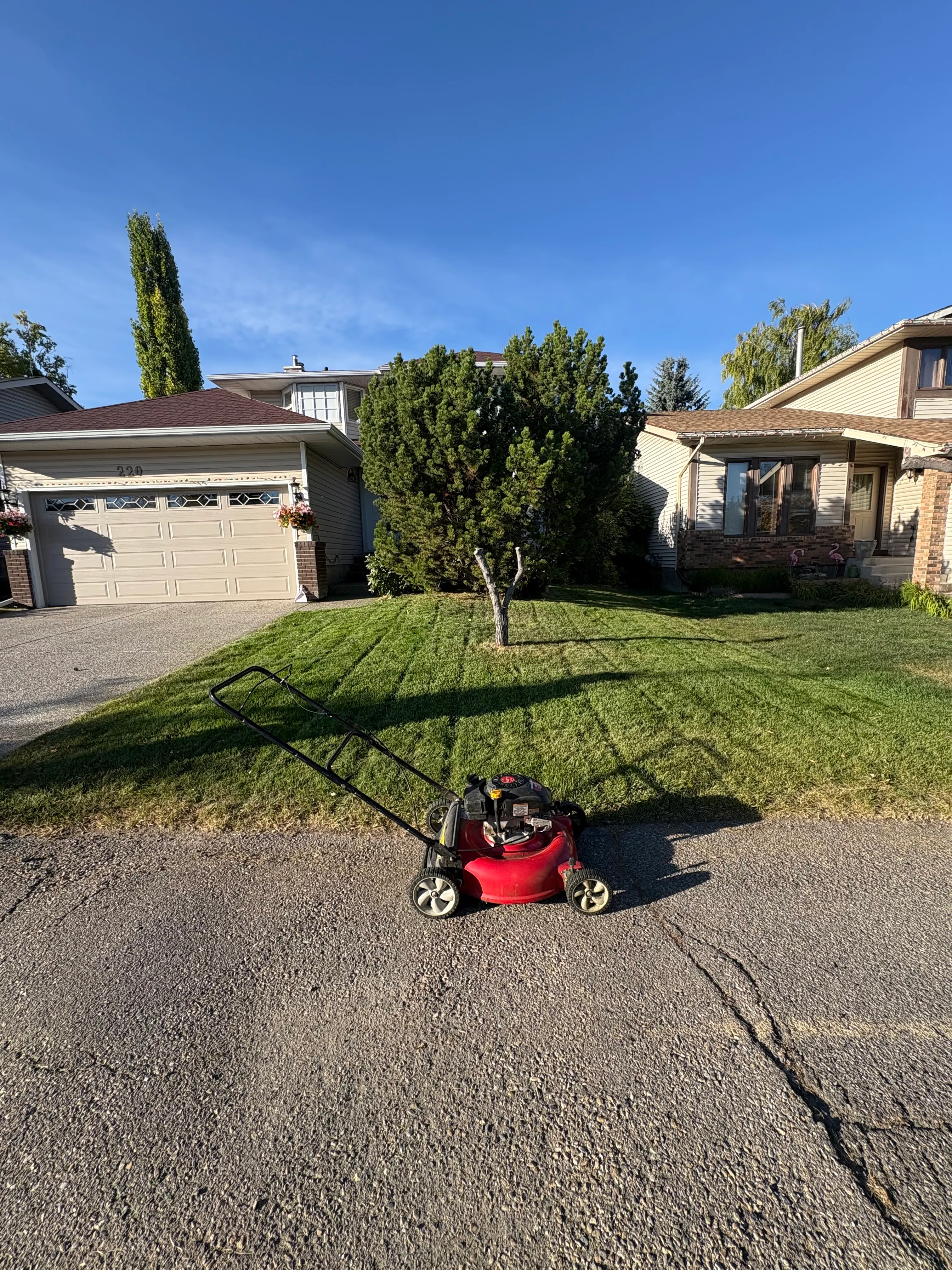 Freshly cut lawn with lawnmower
