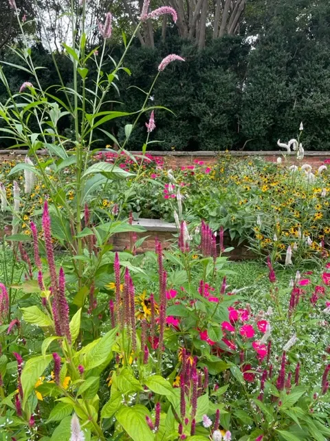 vivid flowers blooming at agecroft hall in richmond virginia