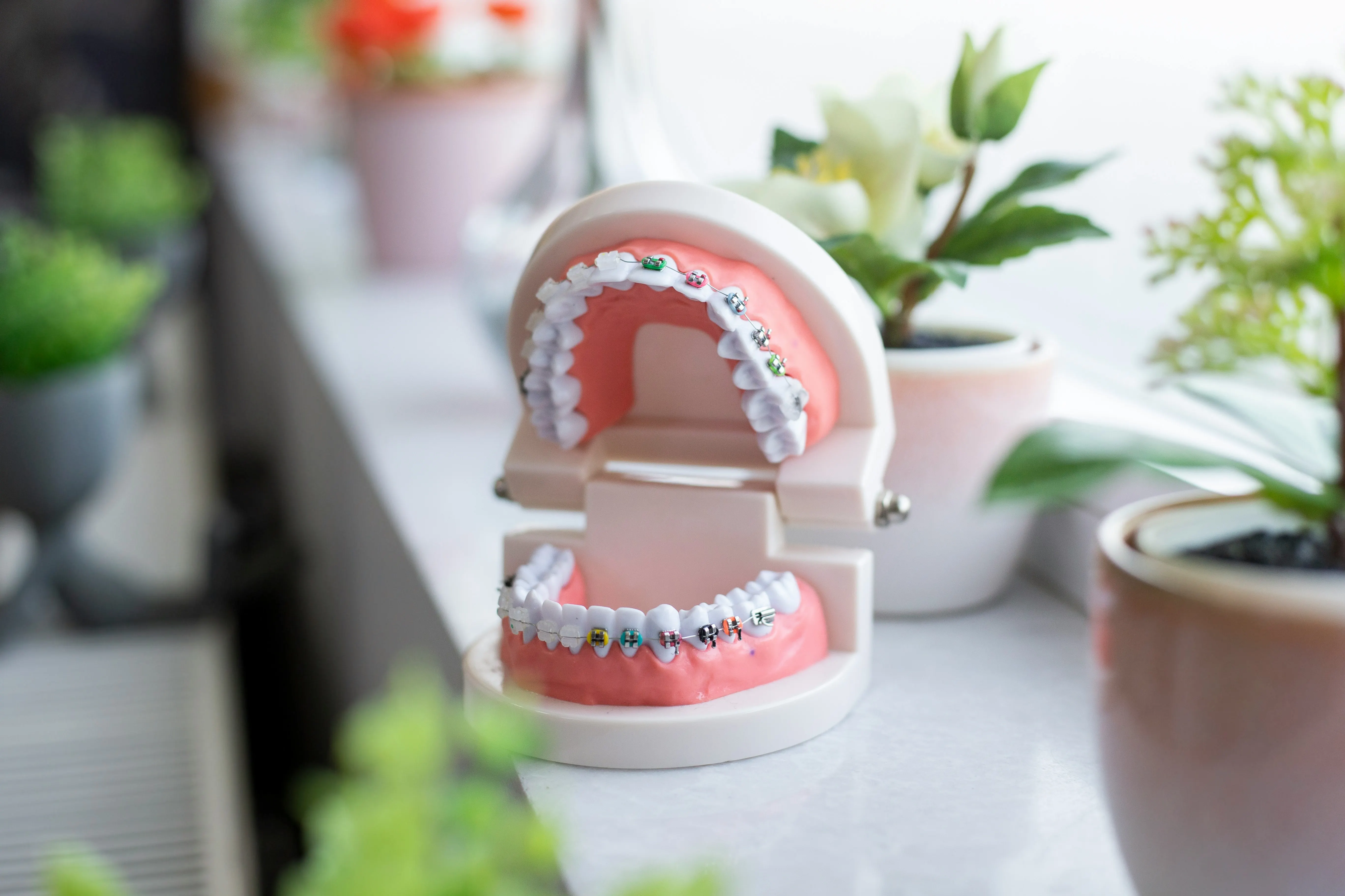 dentist marketing