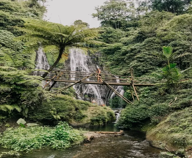 Waterfalls, Lush forest and Bamboo Bridges Bali, Indonesia Free Bali Hotel Stays