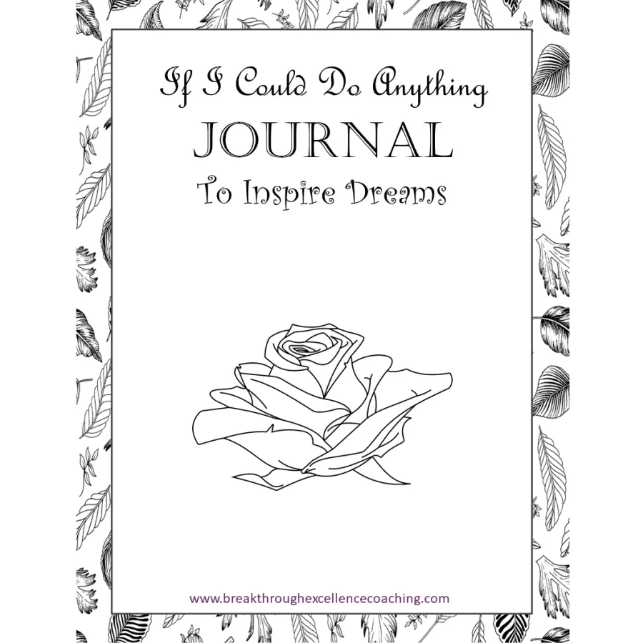 If I Could Do Anything - Journal Cover