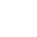 Fast action Bonus