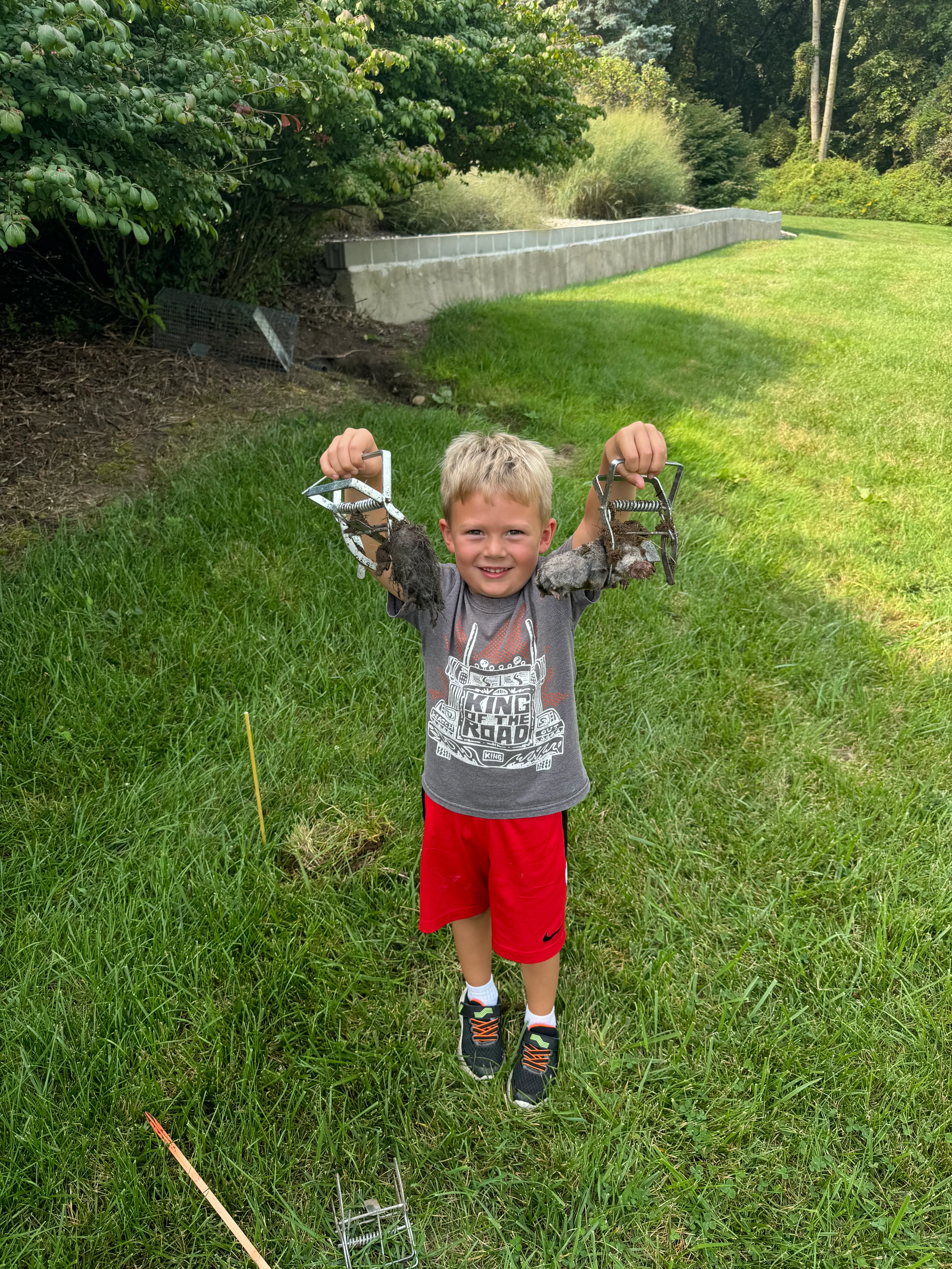 Family Mole Trapping Services