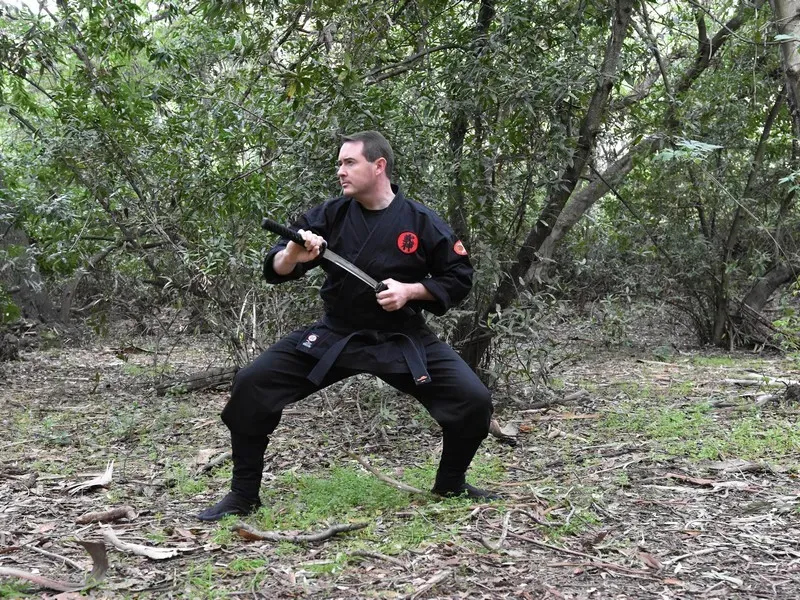 Virtual Ninja Training