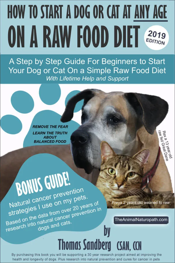 raw dog food guide