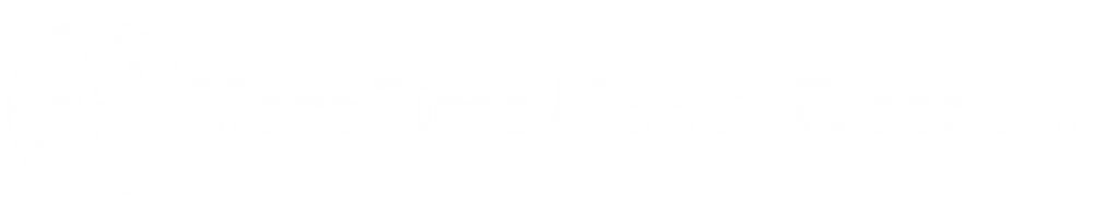 More Time Money Freedom