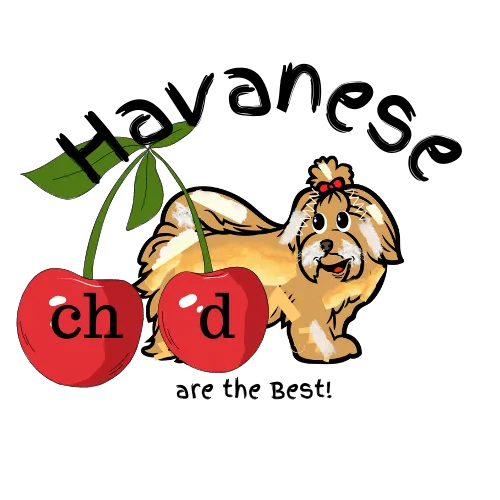 Cherry piano Logo Havanese
