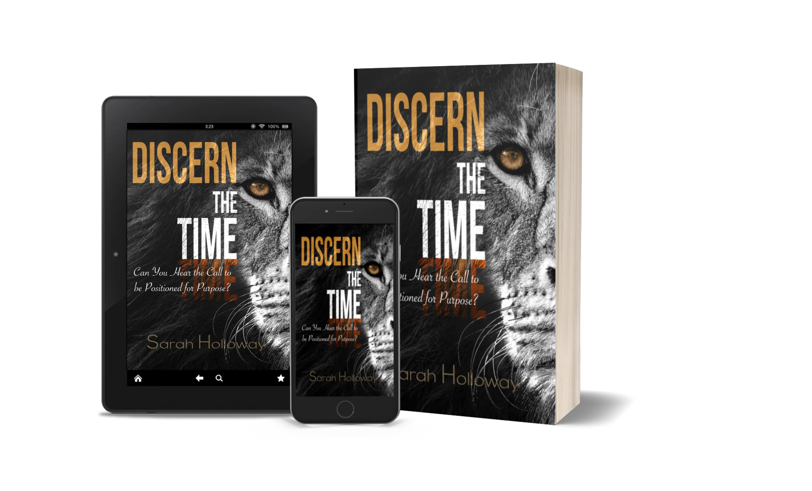 Discern the Time Book
