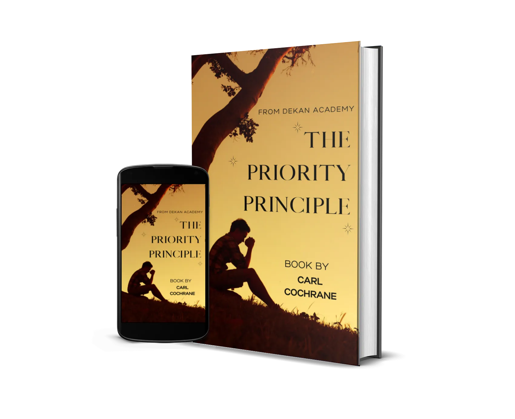 Book on Setting Priorties