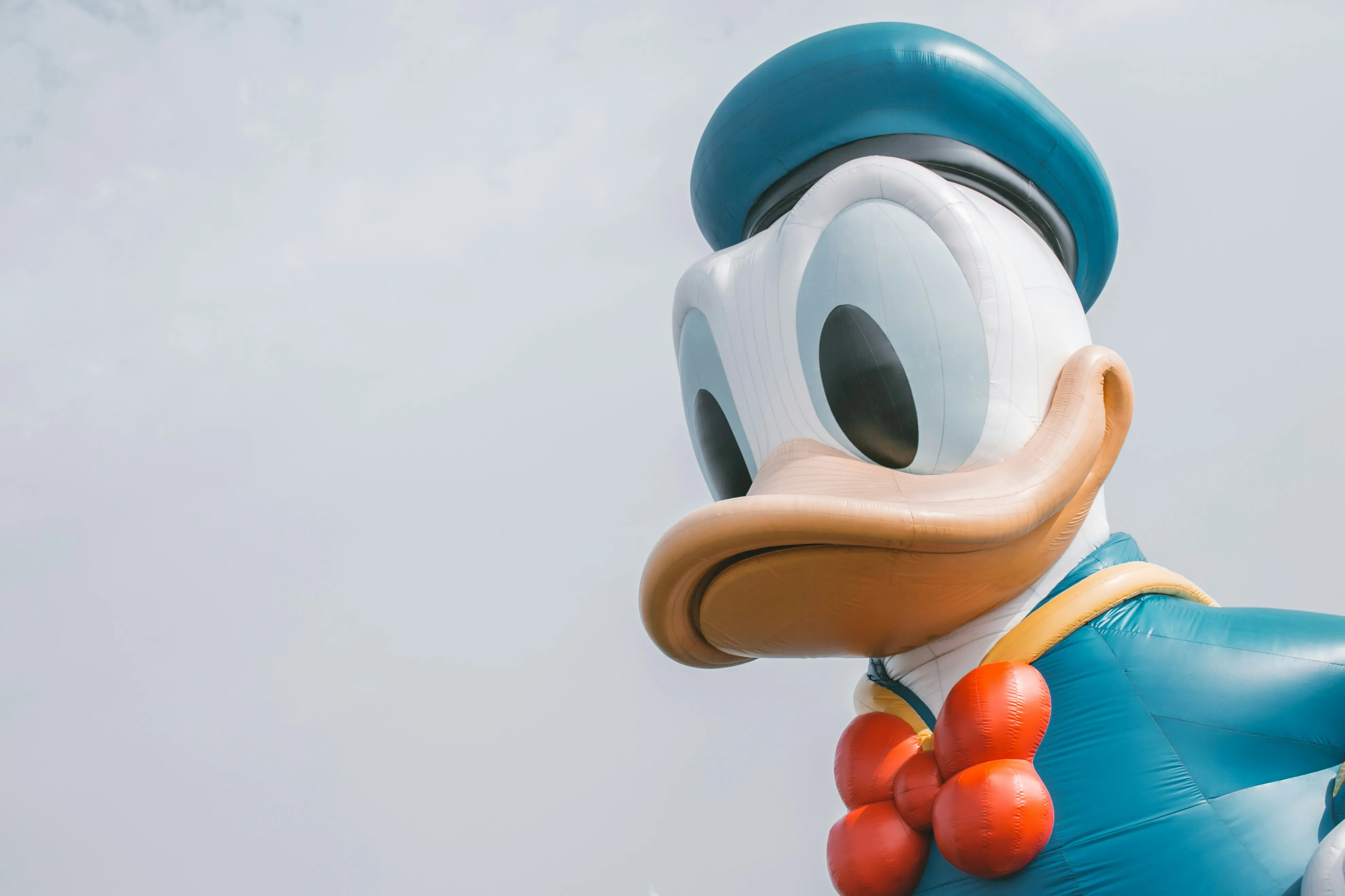 Meet Disney characters on a Disney vacation.